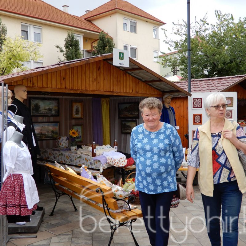 Helyi Értékek Startja 93